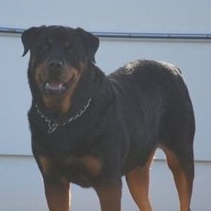 Meet your Posher, Virginia